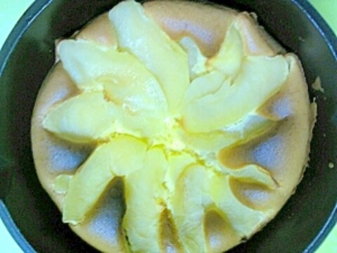 リンゴちゃんのチーズカスタードケーキ